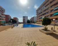 Short Term Rentals - Apartment - Punta Prima - Rocio del Mar