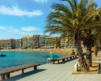 В продаже уютная квартира с ремонтом в Торревьехе, Коста Бланка, Испания. ID2356