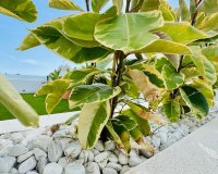 Вторичное жилье - Adosado - Torrevieja - Ла Велета