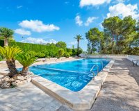 Вторичное жилье - Apartamento - Ла Нусия