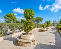 Вторичное жилье - Apartamento - Ла Нусия