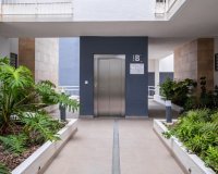 Вторичное жилье - Apartamento - Orihuela-Costa - Playa Flamenca