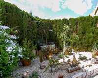 Вторичное жилье - Apartamento - Плайя Фламенка - Playa Flamenca