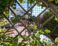 Вторичное жилье - Apartamento - Плайя Фламенка - Playa Flamenca