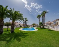 Вторичное жилье - Apartamento - Плайя Фламенка - Playa Flamenca