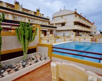 Вторичное жилье - Apartamento - Плайя Фламенка - Playa Flamenca