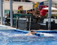 Вторичное жилье - Apartamento - Пунта Прима