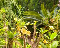 Вторичное жилье - Apartamento - Пунта Прима