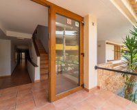 Вторичное жилье - Apartamento - Пунта Прима