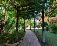 Вторичное жилье - Apartamento - Пунта Прима