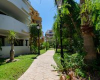 Вторичное жилье - Apartamento - Пунта Прима