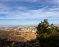 Вторичное жилье - Apartamento - Сьюдад Кесада - Ciudad Quesada