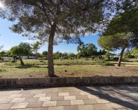 Вторичное жилье - Apartamento - Торревьеха - El Chaparral