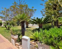 Вторичное жилье - Apartamento - Torrevieja - Лос Балконес