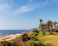 Вторичное жилье - Apartamento - Torrevieja - Мар Асуль