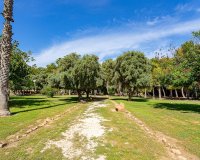 Вторичное жилье - Apartamento - Torrevieja - Торревьеха