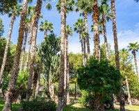 Вторичное жилье - Apartamento - Torrevieja - Торревьеха