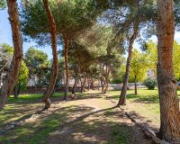 Вторичное жилье - Apartamento - Torrevieja - Торревьеха