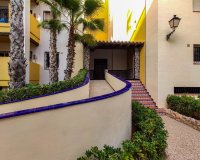 Вторичное жилье - Apartamento - Torrevieja - Торревьеха