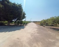 Вторичное жилье - Finca Country Property - Сан Мигель де Салинас - San Miguel De Salinas