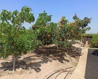 Вторичное жилье - Finca Country Property - Сан Мигель де Салинас - San Miguel De Salinas