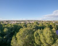 Вторичное жилье - Квартира - Lomas de Cabo Roig - Ломас де Кабо Роиг