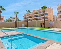Вторичное жилье - Квартира - Orihuela-Costa - Лос Дольсес