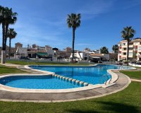Вторичное жилье - Квартира - Плайя Фламенка - Playa Flamenca