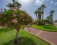 Вторичное жилье - Квартира - Плайя Фламенка - Playa Flamenca