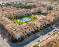 Вторичное жилье - Квартира - Плайя Фламенка - Playa Flamenca