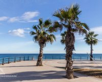 Вторичное жилье - Квартира - Плайя Фламенка - Playa Flamenca