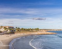 Вторичное жилье - Квартира - Плайя Фламенка - Playa Flamenca