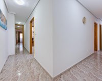 Вторичное жилье - Квартира - Torrevieja - Center