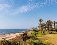 Вторичное жилье - Квартира - Torrevieja - Ла Велета