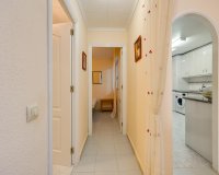 Вторичное жилье - Квартира - Torrevieja - San luis