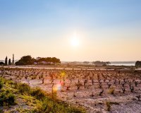 Вторичное жилье - Квартира - Torrevieja - San luis
