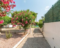 Вторичное жилье - Квартира - Torrevieja - Torreblanca