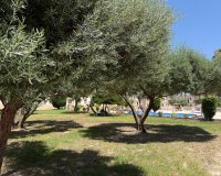 Вторичное жилье - Квартира - Villamartín - Blue Lagoon