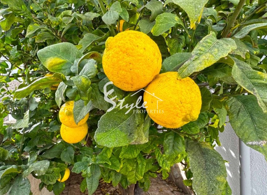 Вторичное жилье - Semi - Detached Villa - Сан Мигель де Салинас - San Miguel De Salinas