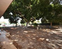 Вторичное жилье - Вилла - Alicante - Callosa De Segura