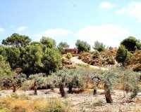 Вторичное жилье - Вилла - Murcia - Costa Blanca Sur