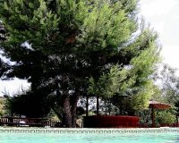 Вторичное жилье - Вилла - Murcia - Costa Blanca Sur