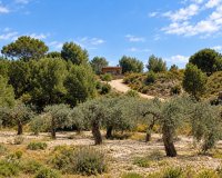 Вторичное жилье - Вилла - Murcia - Costa Blanca Sur