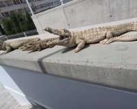 Вторичное жилье - Вилла - Orihuela-Costa - Entre Naranjos Vistabella Golf