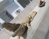 Вторичное жилье - Вилла - Orihuela-Costa - Entre Naranjos Vistabella Golf