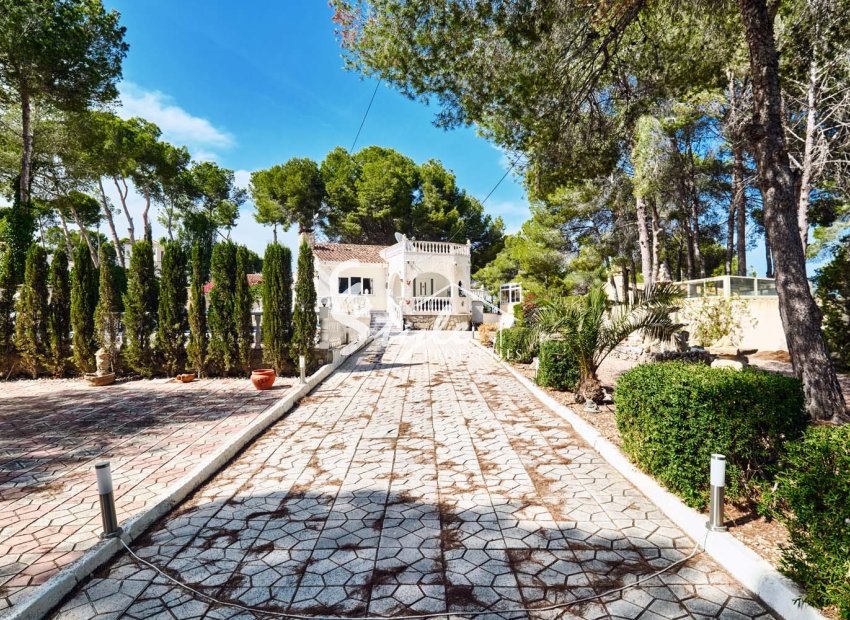 Вторичное жилье - Вилла - Пинар де Камповерде - Pinar De Campoverde