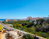 Вторичное жилье - Вилла - Торревьеха - Ла Мата