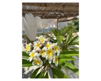 Вторичное жилье - Вилла - Торревьеха - San luis