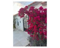 Вторичное жилье - Вилла - Torrevieja - San luis