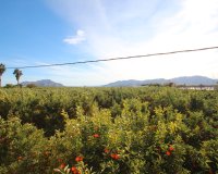 Вторичное жилье - Загородный дом - Murcia - Costa Blanca Sur
